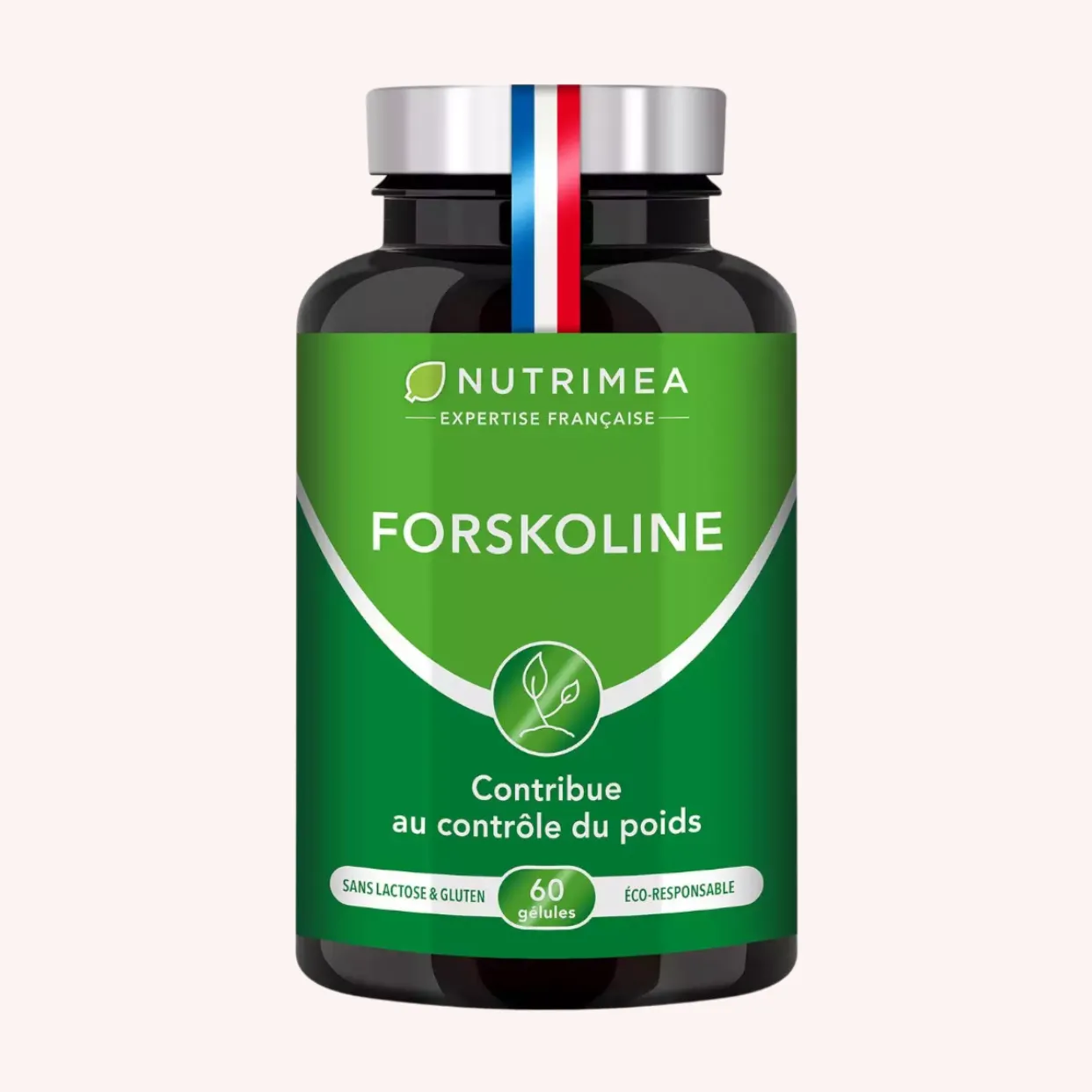 Forskoline - Nutrimea